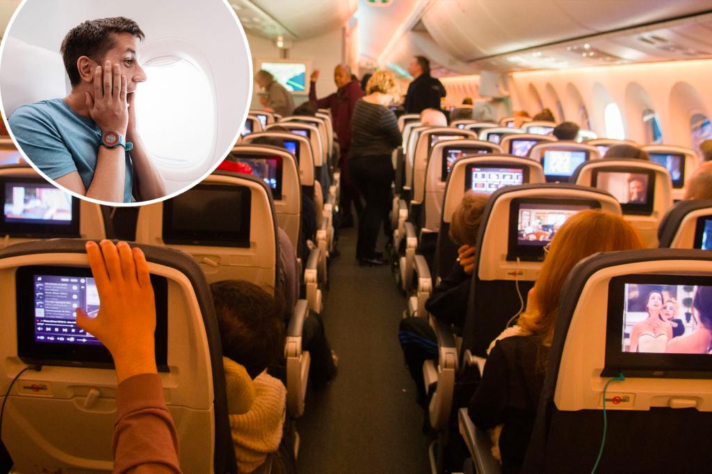 A passenger sits for a 7-hour flight - and there's a huge argument about why she wouldn't get off