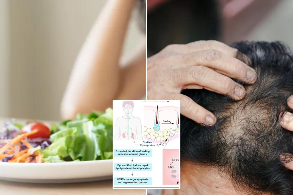 This popular diet may slow your hair growth, says a new study