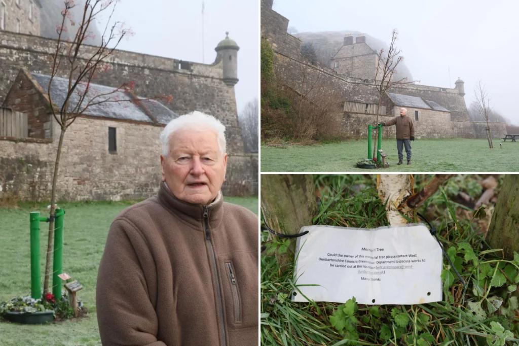 Heartbroken widow learns memorial tree for late 68-year-old woman to be removed after council blunder